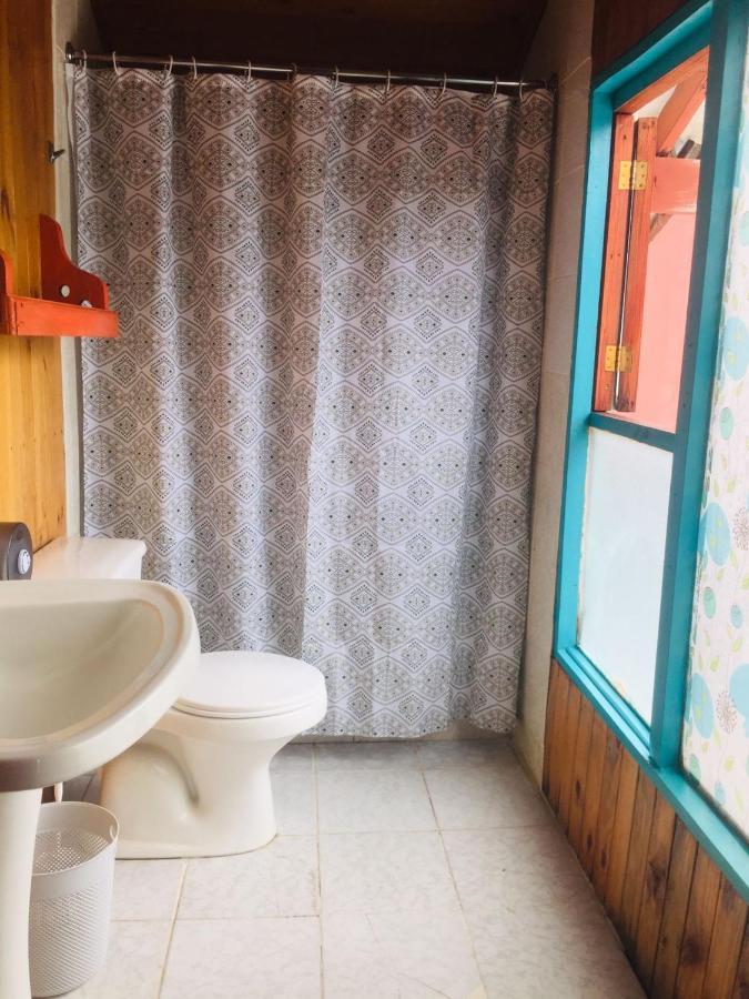 Hostel Raiz Pucon Ngoại thất bức ảnh