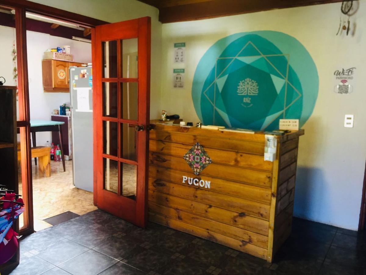 Hostel Raiz Pucon Ngoại thất bức ảnh