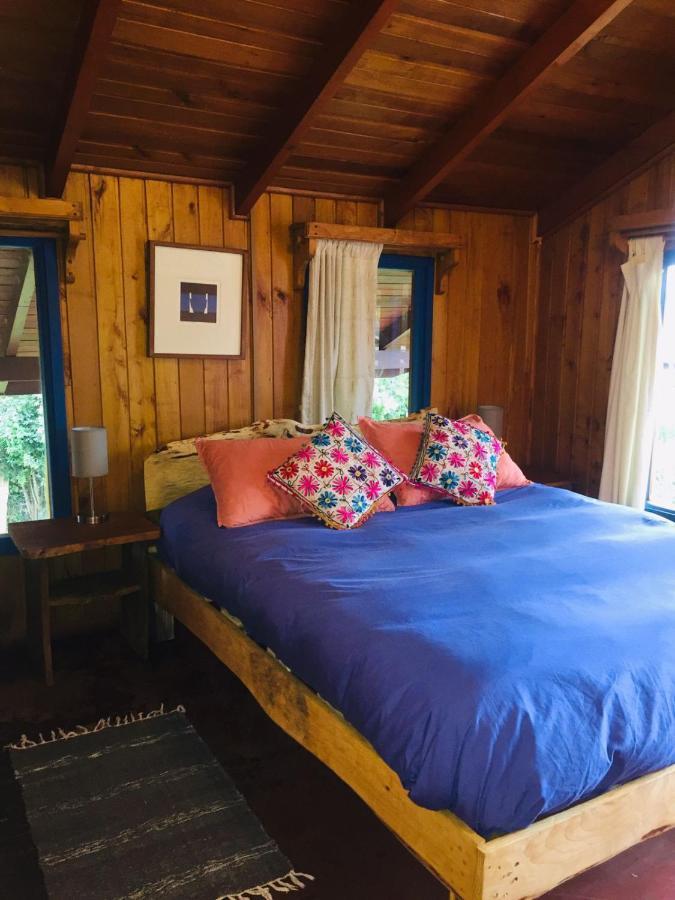 Hostel Raiz Pucon Ngoại thất bức ảnh