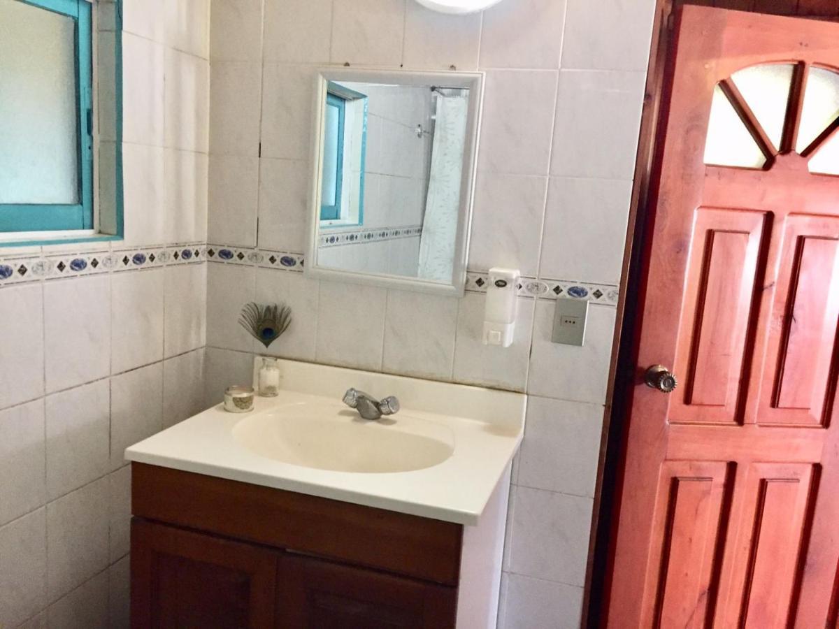 Hostel Raiz Pucon Ngoại thất bức ảnh