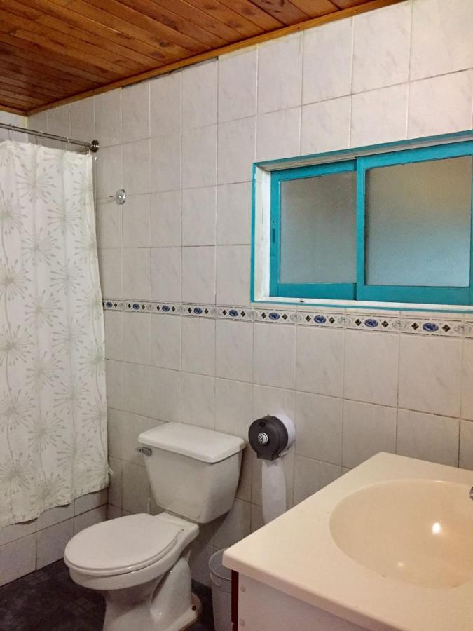 Hostel Raiz Pucon Ngoại thất bức ảnh