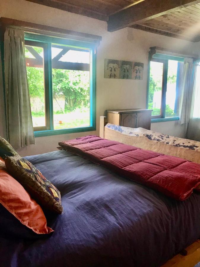 Hostel Raiz Pucon Ngoại thất bức ảnh
